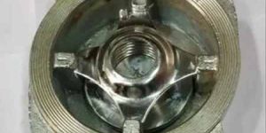Stainless Steel Disc Check Valve