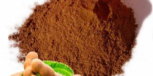 Dehydrated Tamarind Powder