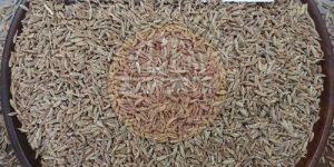 Cumin seeds Singapore 99%