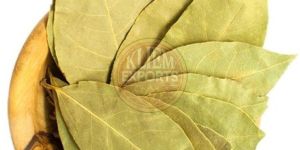 Dry Tejpatta Leaves