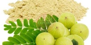 Spray Dried Amla Powder