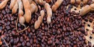 Tamarind Seeds