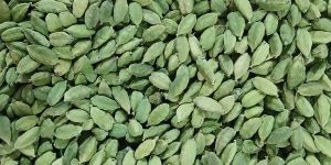 Green Cardamom