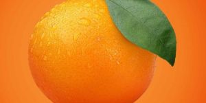 A Grade Fresh Orange Nagpur Mandarin