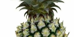 a Grade Fresh Pineapple