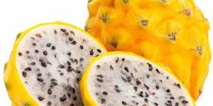 A Grade Fresh Yellow Dragon Fruit