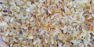 Rejected Sella Non Basmati Rice