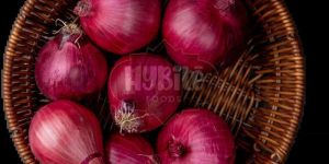 a Grade Fresh Red Onion