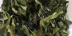 Dried Papaya Leaves