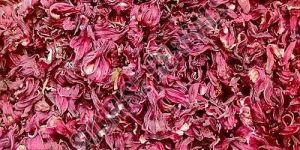 Dry Hibiscus Flower Petals