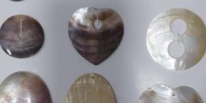 Mother of Pearl Sea Shells