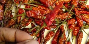Dried Birds Eye Chili