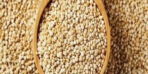 Quinoa Millet Seeds