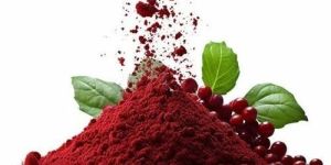 Spray Dried Cranberry Powder