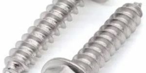 Stainless Flange Head Screw