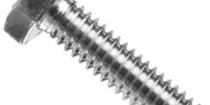 Stainless Steel Hex Head Bolt