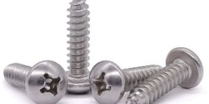 Stainless Steel Raised Head Screw
