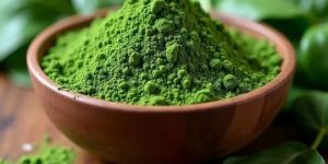 Dehydrated Spinach Powder