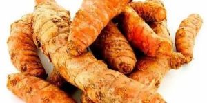 Organic Fresh Turmeric Finger