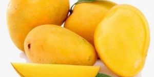 Premium Grade Alphonso Mango
