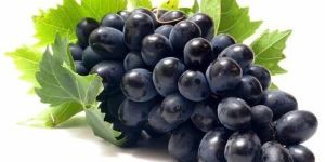 Sweet Black Grapes