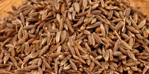 Cumin Seeds