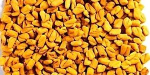 Fenugreek Seeds