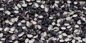 Split Black Urad Dal