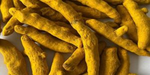 Turmeric Finger