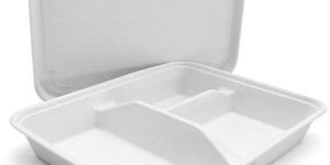3 CP Bagasse Meal Tray