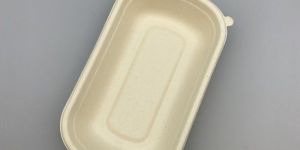 Biodegradable Container Without Lid