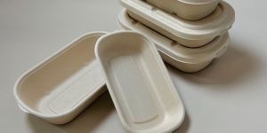 Biodegradable Sugarcane Bagasse Container with Lid