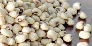 Cowpeas Seeds