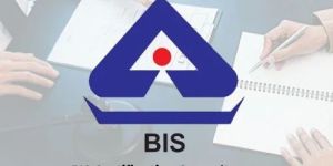 BIS Certification Consultancy Service