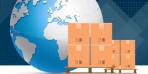 Rodtep License Service