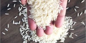 Pusa Non Basmati Rice