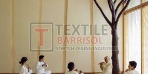 Yoga Center Stretch Ceiling