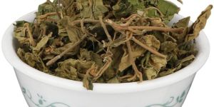 Dry Gymnema Sylvestre Leaves