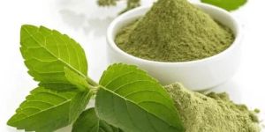 Tulsi Powder
