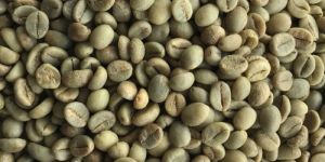 Arabica Parchment Coffee Beans