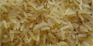 Parboiled Non Basmati Rice