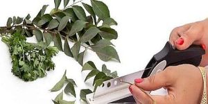 Stainless Steel Clever Cutter