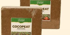 Cocopeat Brick
