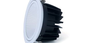 Max Movable COB Light