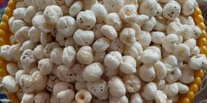 6 Plus Suta Phool Makhana