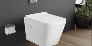 Rectangular Wall Mounted Toilet Seat