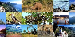 Trip to South Africa 5N/6D ( Zanzibarv