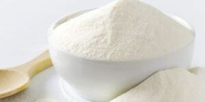 Skimmed Milk Powder