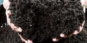 Farm Grade Vermi Compost