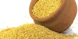 Naturally Grown Foxtail Millet